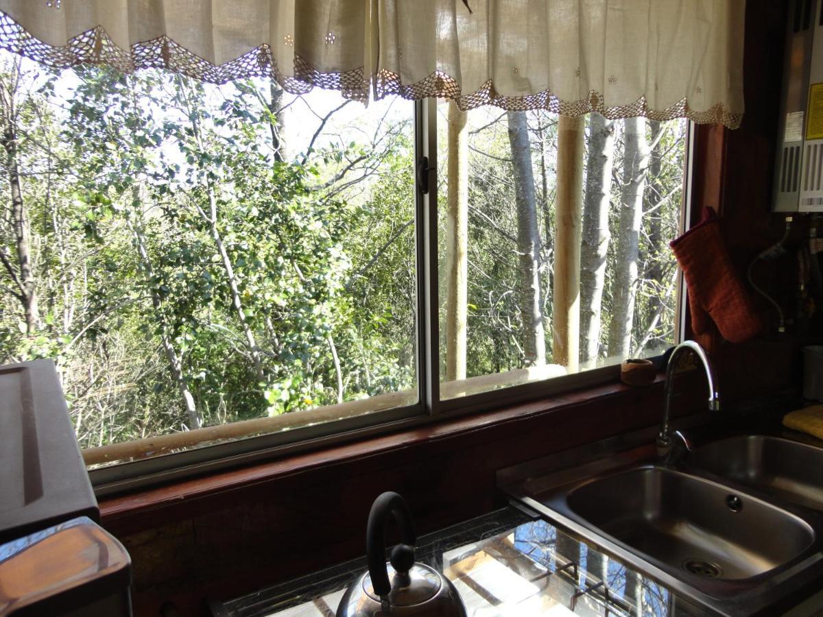 Cabanas Spa Bungalows Huarranchi Pucón Buitenkant foto